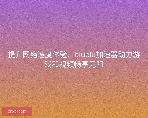 提升网络速度体验，biubiu加速器助力游戏和视频畅享无阻