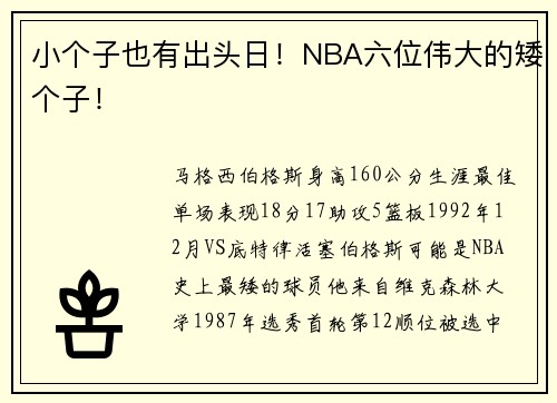 小个子也有出头日！NBA六位伟大的矮个子！